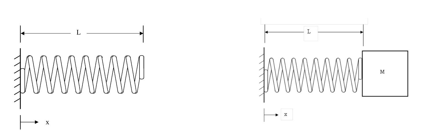 Fixed-free spring model and fixed-mass spring model